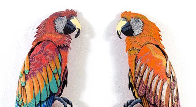 Twice & Barcelona Parrots by Julien Deniau http://www.thedailyboard.co/en/news/twice-barcelona-parrots-by-julien-deniau/