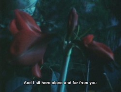 papelcult:  As I Was Moving Ahead Occasionally I Saw Brief Glimpses of Beauty (2000)Directed by Jonas Mekas  