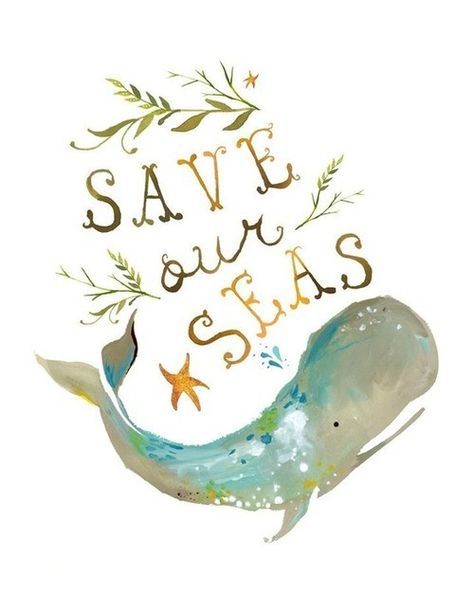 veganhippiechick: Save our seas! Posted by WeHeartIt.com