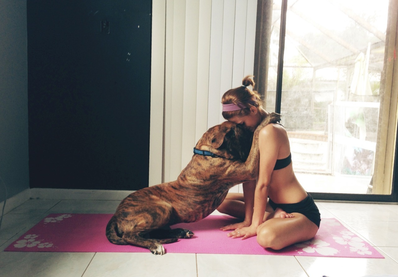 yoga-pilates-love:  earnthatsweat:  ughhhfuckkk:  My boyfriend gave Murphy and I