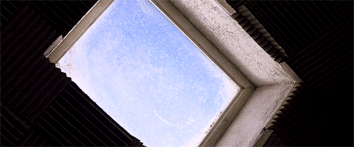 poedaumeron:  I’ve been in the world 37 hours. I’ve seen pancakes, and a stairs, and birds, and wind