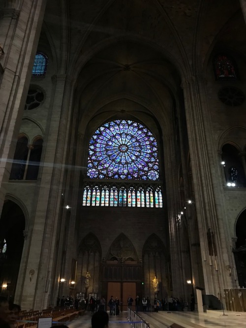 thecrankyprofessor:South Transept Rose Window, Notre Dame Paris