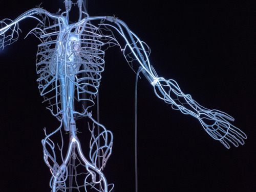 itscolossal - A Pulsating Neon Skeleton by Tavares Strachan Honors...