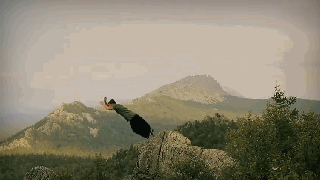 parkour-freerunning-feiyue:  COOOL!!! Parkour in the field.