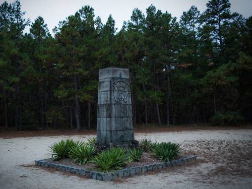 The Pine Barrens, New Jersey