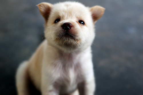 heyrainbows:  by Xu83 