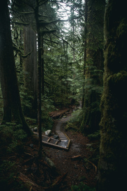 masonstrehlphoto: Walk with me through the