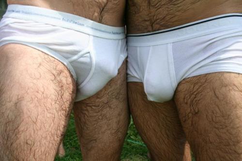 bccoastsurfer: A couple of hairy buddies, hanging out in their tighty whities