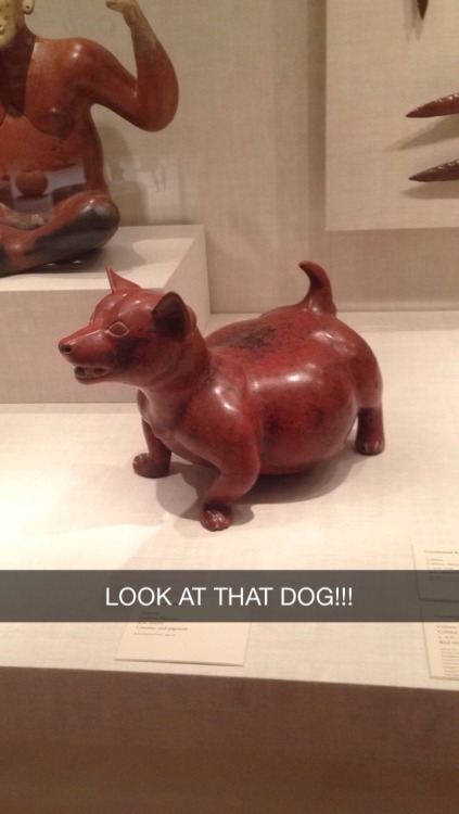 nitewrighter:Art museum priorities are in order.