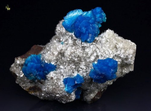 mineralists:  Cavansite on stilbite - Wagholi, India 