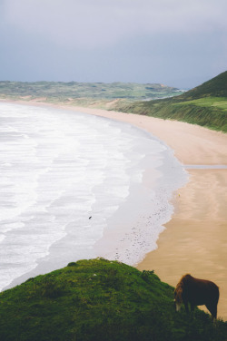 threesixtytravel:  Rhossili Bay, Swansea, Wales 