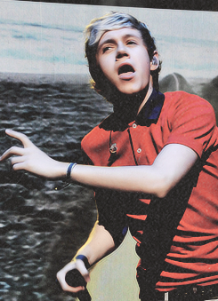    niall in concerts (from mullingar to uan tour)   