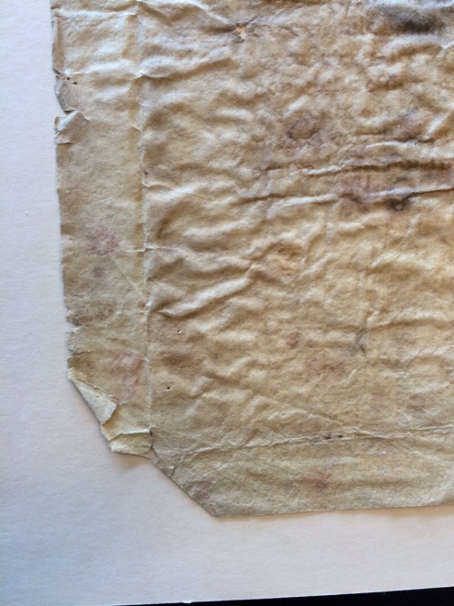 upennmanuscripts:Say hello to Misc Mss (Large) Box 2 Folder 25, an un-digitized manuscript fragment 