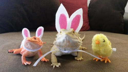 thingsonmydragon: Easter Posse