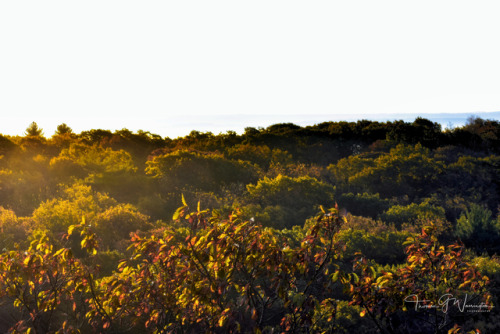 thomasgwarringtonphotography:  I took a trip to Sleeping Giant State Park in Hamden, Connecticut thi