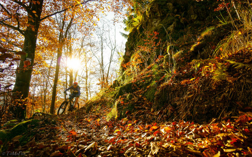 horsthimself:  November days