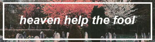 Tumblr media