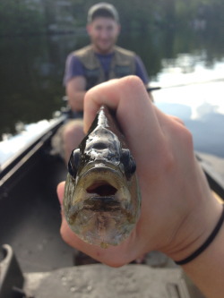  fishing dates > 