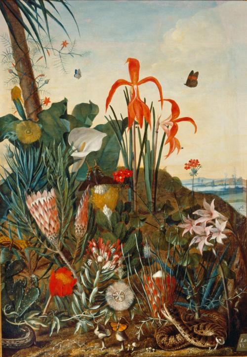 Exotic flowers with a snake in the Hortus Botanicus Leiden, 1740, Laurens van der Vinne