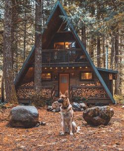 cabinsdaily:  Featured cabin 🌲
