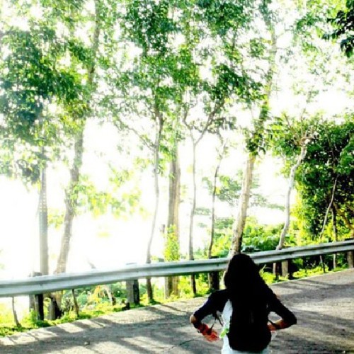 Photo18 #photography #photo #nature #up #hill #travel #world #shot #fun #sky #fresh #summer #sun #sh