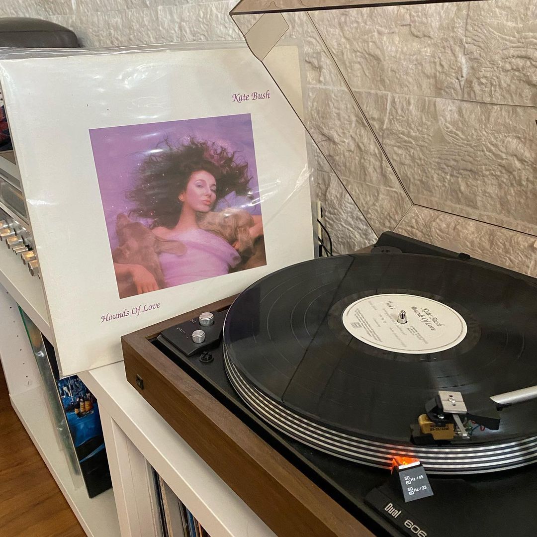 For my listening pleasure today, keeping it current lol #katebush #classicvinyl #dannysbeat #strangerthings
https://www.instagram.com/p/Ce9H1X3Jx9i/?igshid=NGJjMDIxMWI=