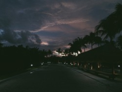 beautiful-happyunicorn.tumblr.com post 142439869075