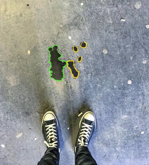 Stumbled across this lil gremlin spitting acid this morning ✨ #pfsnaps #floordoodle #snap (at Pf Sna