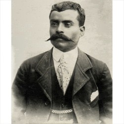 Zapata