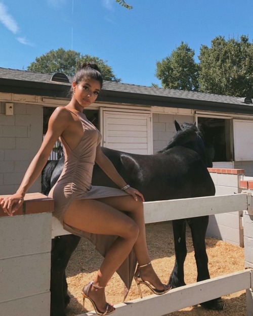 Sex Yovanna Ventura and a shy horse in the background pictures