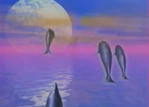 dauphins