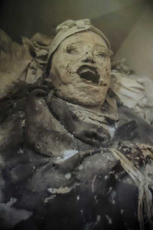 allthesaintsyoushouldknow:  The Carmelite Monastery of San Ángel Mexico City, Mexico  I’m currently working on a full piece for Atlas Obscura on theses guys but I couldn’t wait to share the photos. These are naturally occurring mummies on display