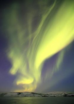 etherealvistas:  Northern Lights (Iceland) by olgeir 