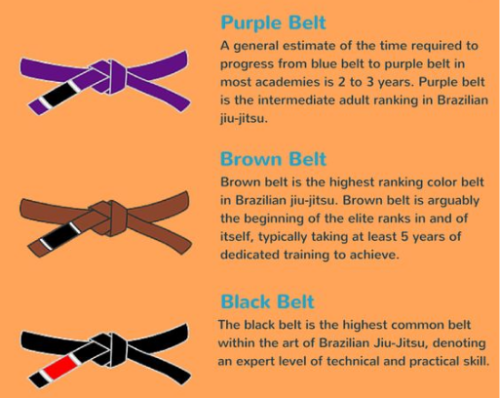 In Brazilian Jiu Jitsu, the belts are the indicator of a players expertise. Belts of different colours like white, blue, purple, brown, black, red are worn by different Brazilian Jiu Jitsu players. A brief introduction regarding the importance of various belts has been offered for the benefit of people who are new to martial arts