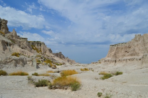 The Lakota called it “mako sica” and the trappers had their own word for it “les mauvaises terrestri