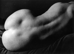 onlyoldphotography:  Brassaï: Nude, 1934 