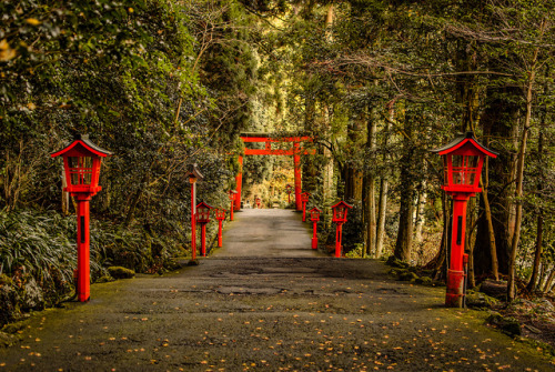 The Lantern Path