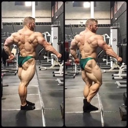 Flex Lewis