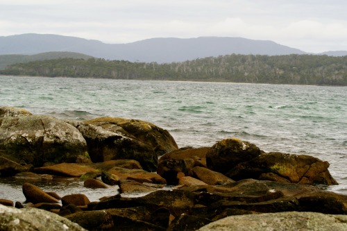 bruny island, tasmania