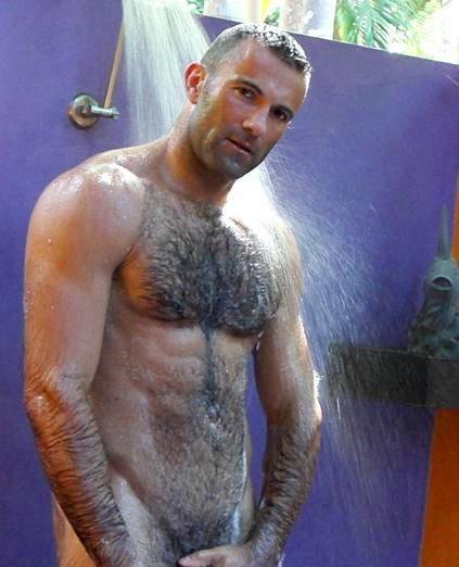 hairy-chests:
