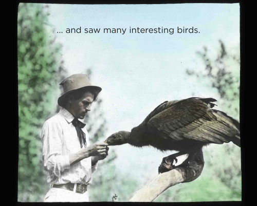 skunkbear:The origin story of the Malheur National Wildlife Refuge (once called the Malheur Lake Res