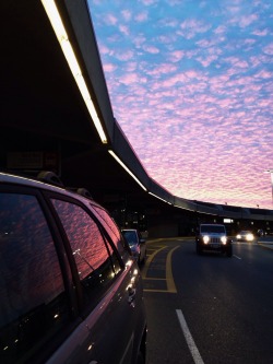 loveknows-hang:  The sky was unreal this