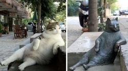 catsbeaversandducks:  Tombili: Istanbul cat and worldwide meme honoured with statue ‘Tombili’, a rotund cat beloved by Istanbul’s Ziverbey neighbourhood, has been commemorated by the city authorities after local demand for a tribute to his memory.