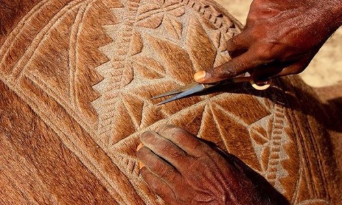 jooces:    Eid Mubarak: The art of camel barbering in Pakista     I don’t think i’ve seen photos of the actual process before. Looks like a lot of work! But beauty is not without effort <3