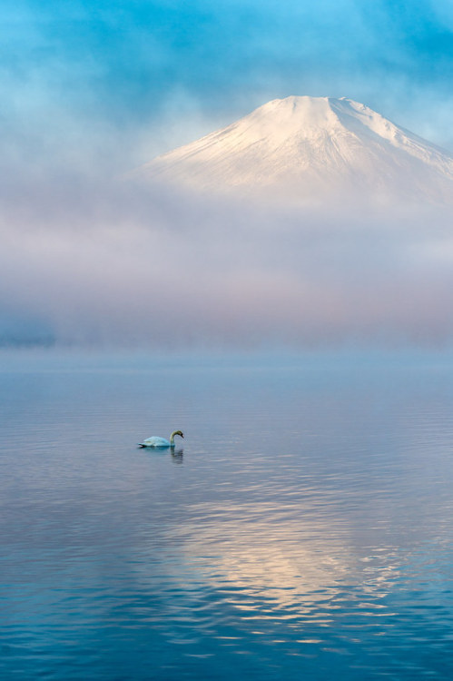 vurtual:Swan lake (by Shinichiro Saka)Yamanashi Prefecture, Japan