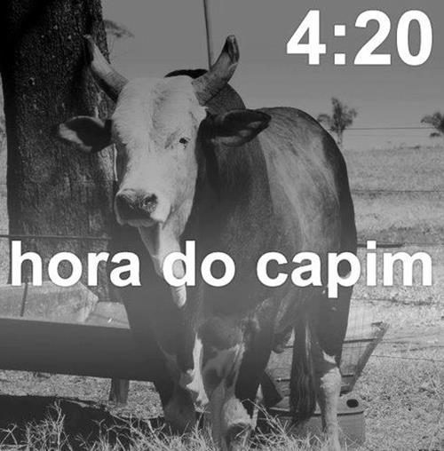 mlndr