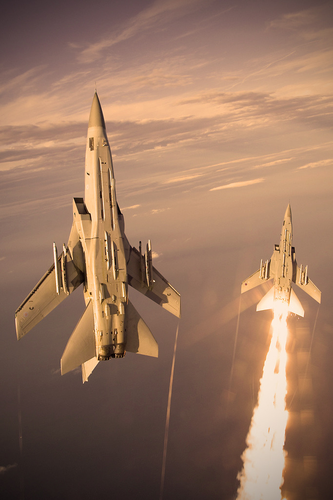 Eyes to the Skies