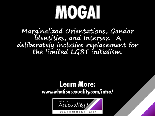 MOGAIMarginalized Orientations, Gender Identities, and Intersex.  A deliberately inclusive repl