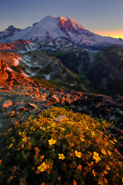 ponderation:  Illuminated Ridges by Trevor Anderson   