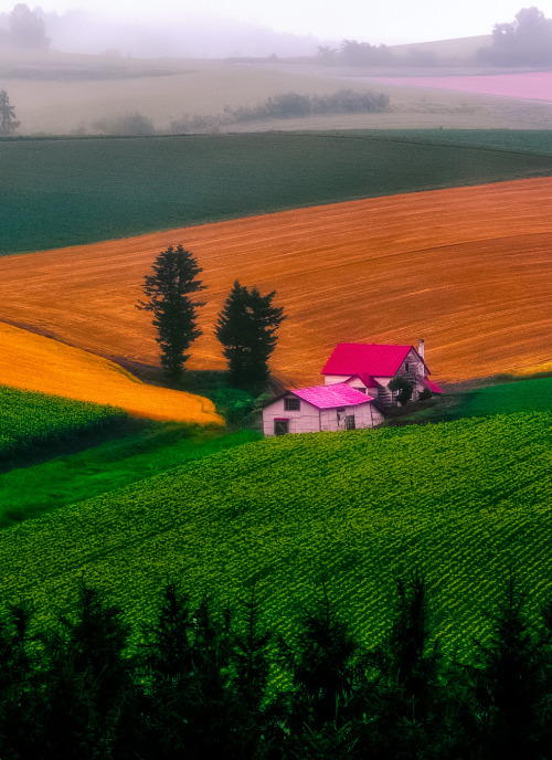 coiour-my-world:a foggy morning ~ Agustin Rafael Reyes